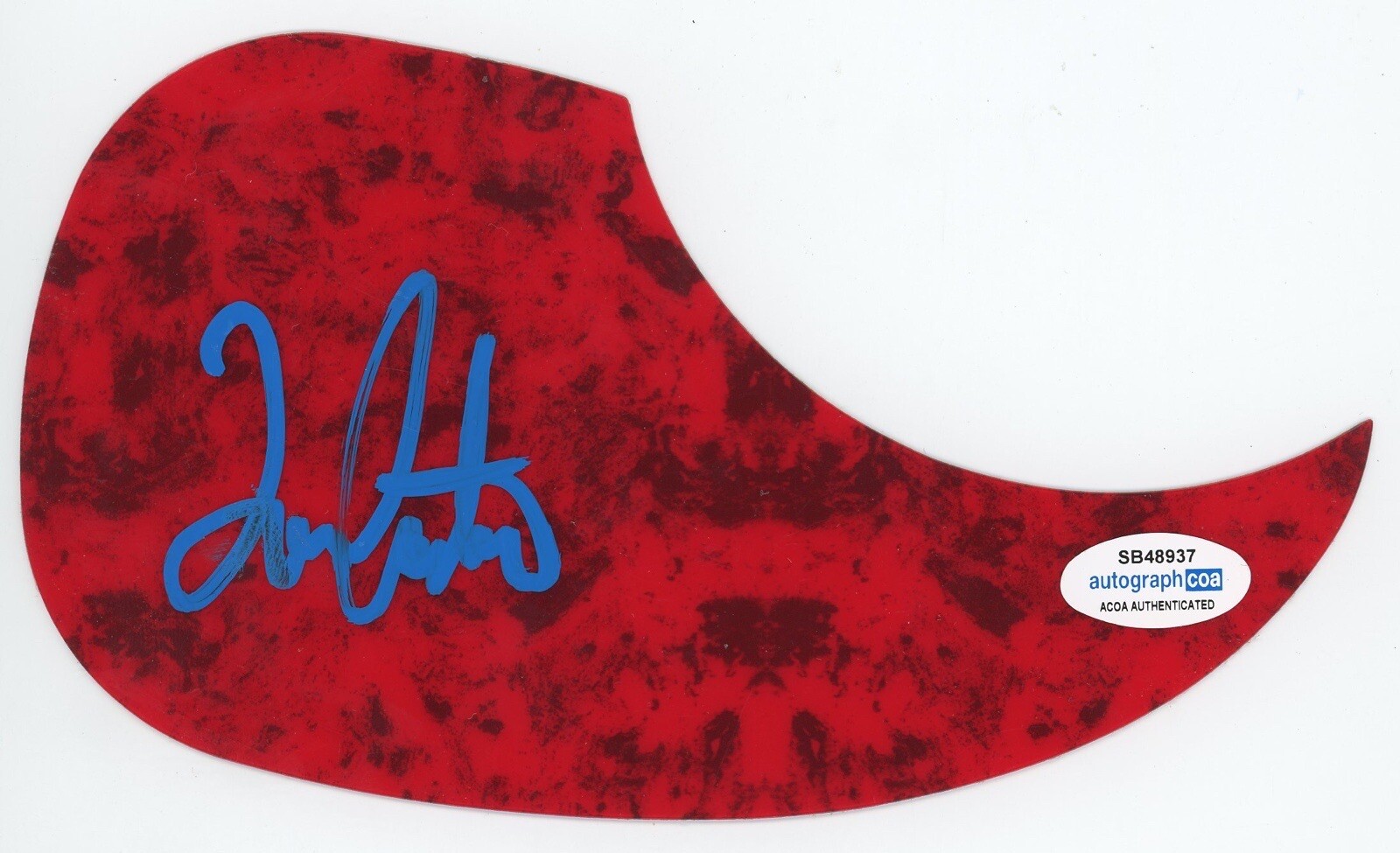 TOMMY CASTRO PAINKILLERS SIGNED AUTOGRAPH ACOUSTIC GUITAR PICKGUARD ACOA