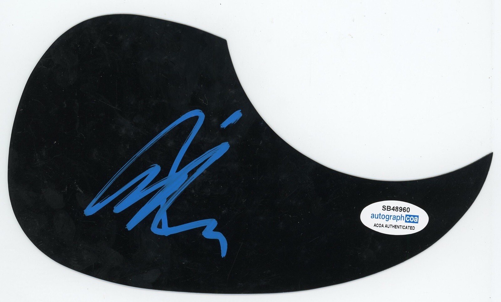 ART ALEXAKIS EVERCLEAR SIGNED AUTOGRAPH ACOUSTIC GUITAR PICKGUARD ACOA COA COLLECTIBLE MEMORABILIA