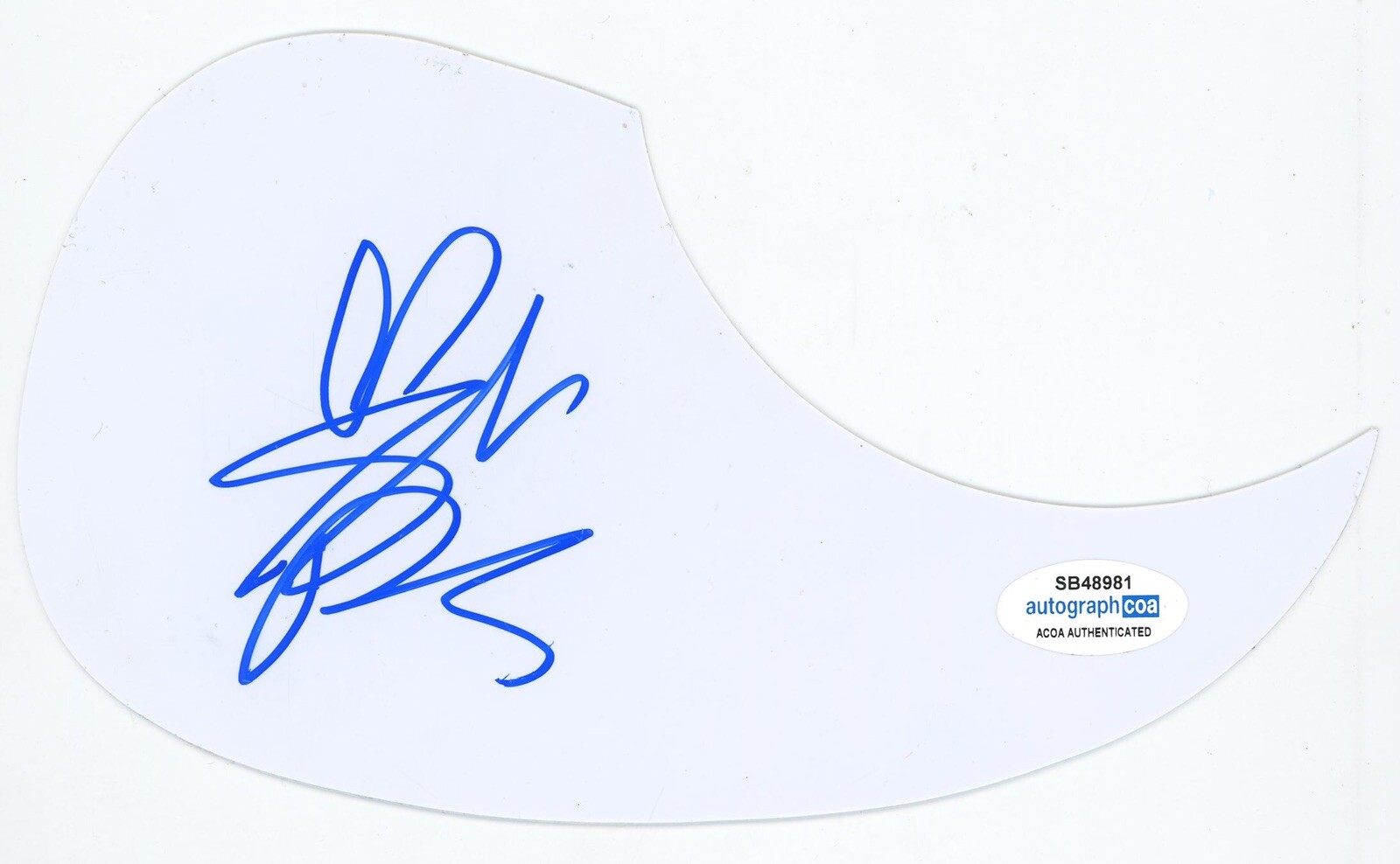 SARAH DARLING WONDERLAND SIGNED AUTOGRAPH ACOUSTIC GUITAR PICKGUARD ACOA COUNTRY