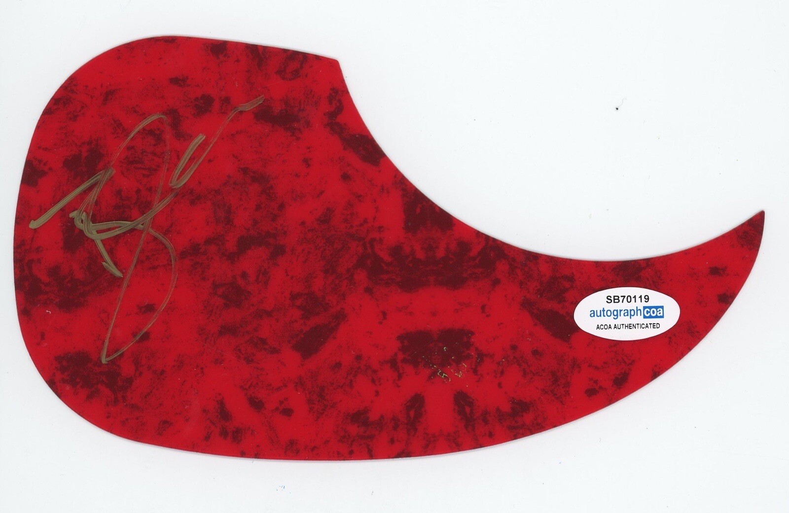 TYLER RICH SIGNED AUTOGRAPH ACOUSTIC GUITAR PICKGUARD ACOA THE DIFFERENCE COLLECTIBLE MEMORABILIA