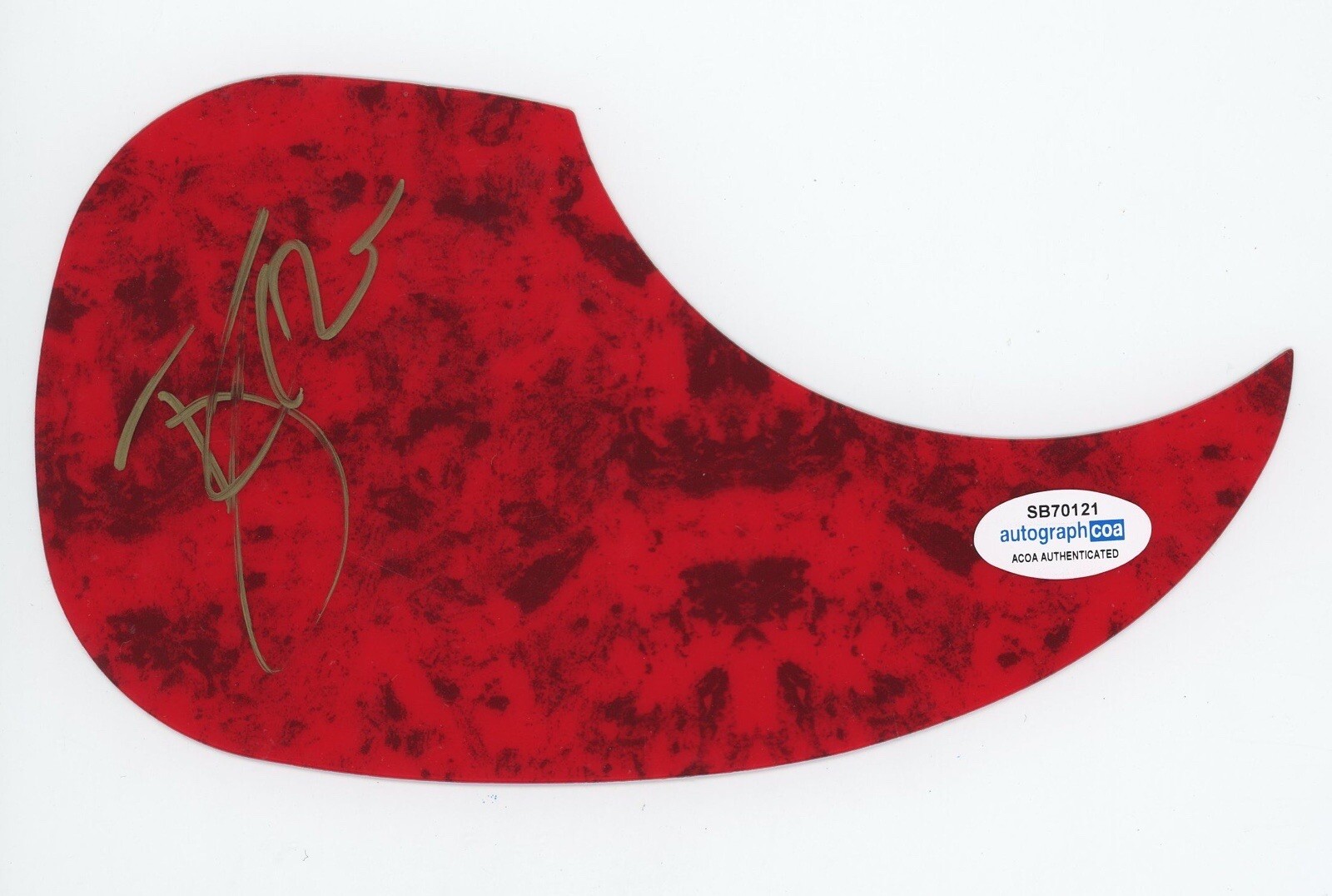 TYLER RICH SIGNED AUTOGRAPH ACOUSTIC GUITAR PICKGUARD ACOA THE DIFFERENCE COLLECTIBLE MEMORABILIA