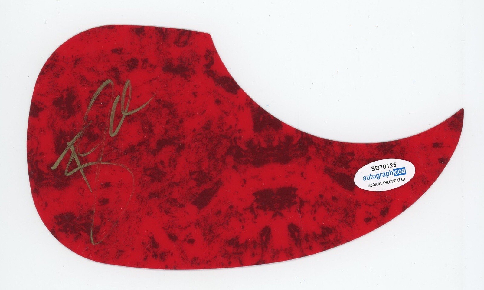 TYLER RICH SIGNED AUTOGRAPH ACOUSTIC GUITAR PICKGUARD ACOA THE DIFFERENCE