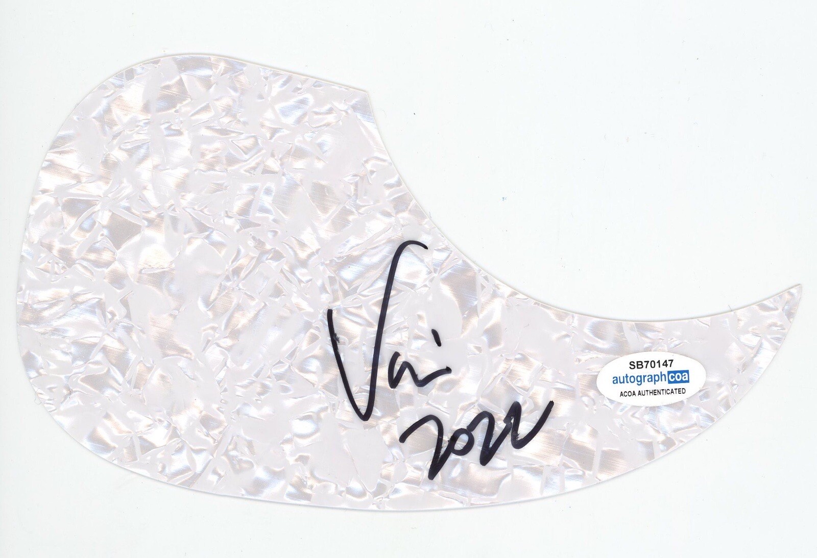 VINNIE DOMBROSKI SPONGE SIGNED AUTOGRAPH ACOUSTIC GUITAR PICKGUARD ACOA PLOWED