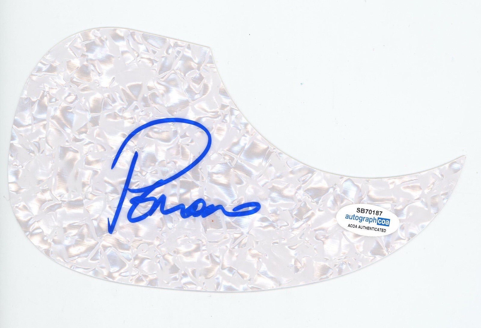 PETER NOONE HERMANS HERMITS SIGNED AUTOGRAPH ACOUSTIC GUITAR PICKGUARD ACOA