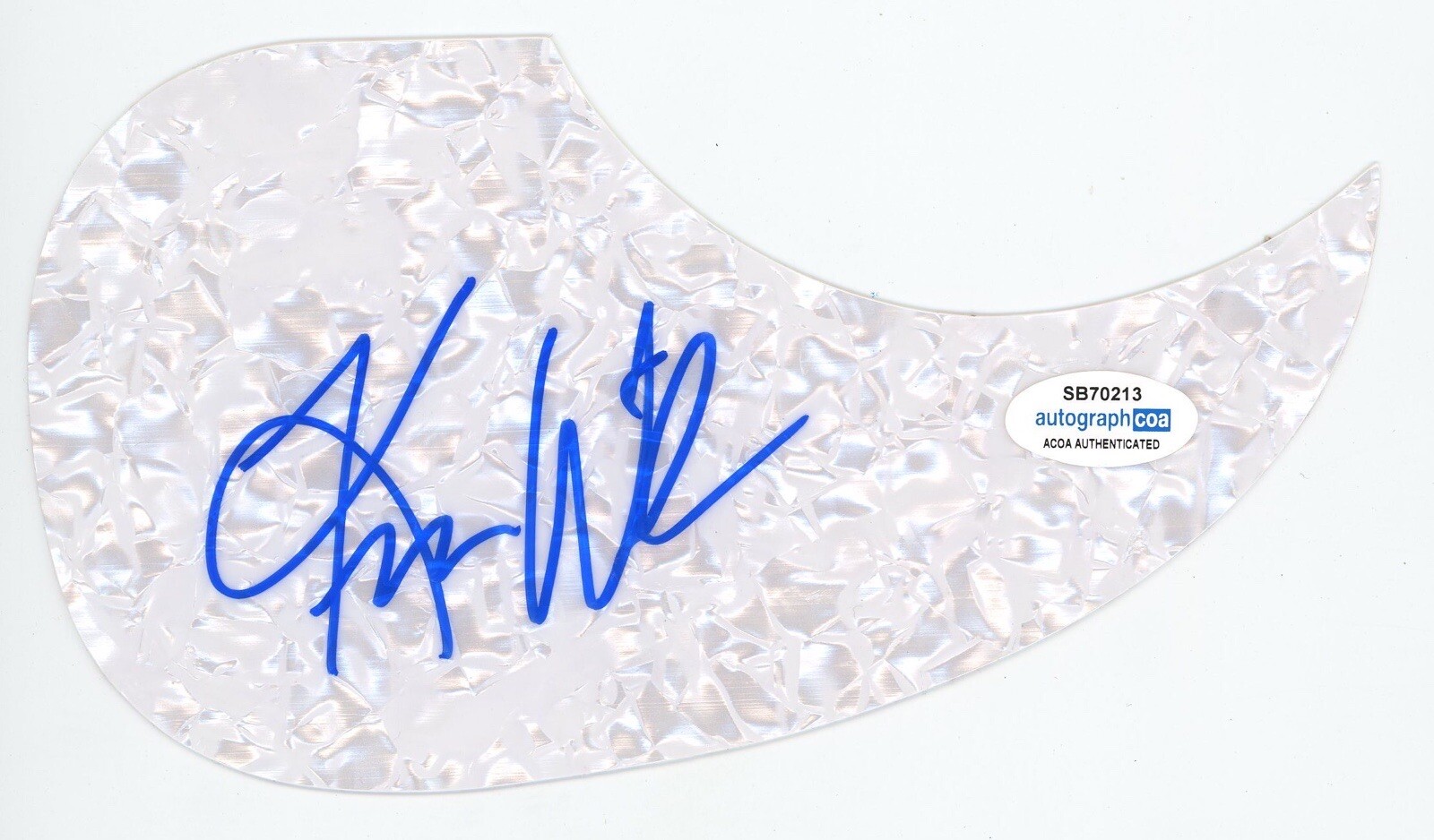 KIM WILSON FABULOUS THUNDERBIRDS SIGNED AUTOGRAPH ACOUSTIC PICKGUARD ACOA GUITAR