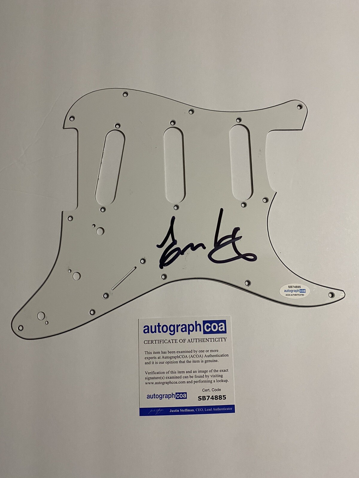 JANE’S ADDICTION Eric Avery SIGNED AUTOGRAPHED Electric Guitar Pickguard ACOA
