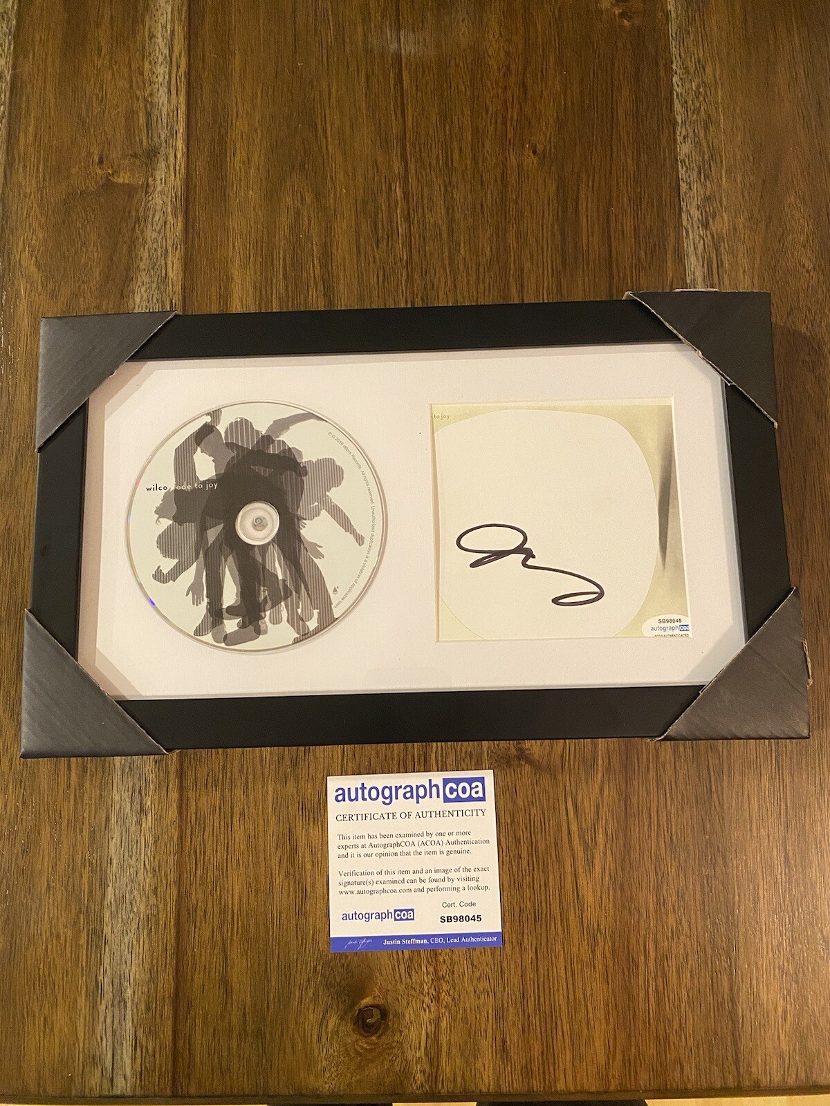 Jeff Tweedy ‘Ode To Joy’ Wilco Signed Autograph Framed CD ACOA
