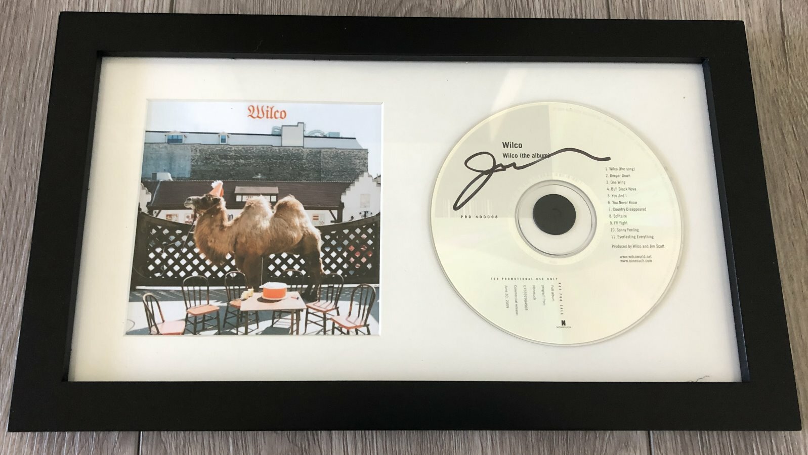 JEFF TWEEDY SIGNED AUTOGRAPH WILCO FRAMED & MATTED CD w/PROOF
