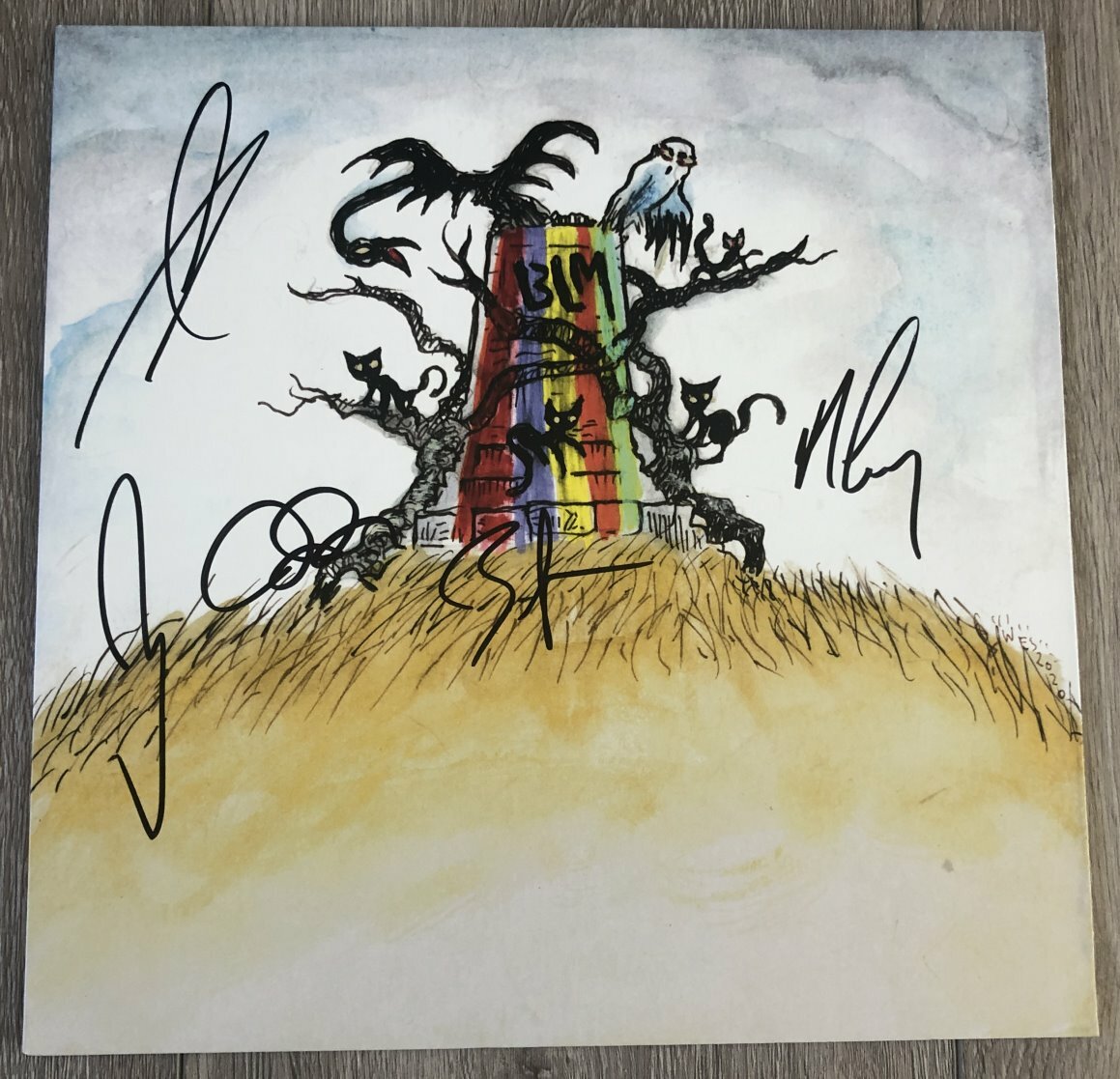 DRIVE BY TRUCKERS SIGNED THE NEW OK VINYL RECORD ALBUM PATTERSON HOOD +4
