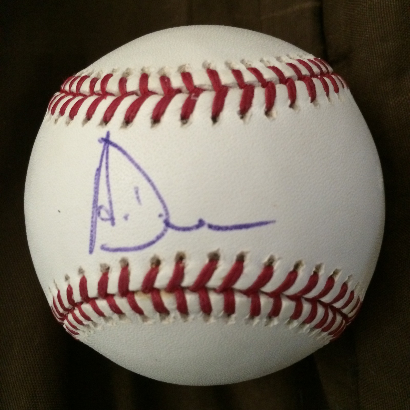 Adam Dunn Signed Authentic Baseball Autographed ROMLB
