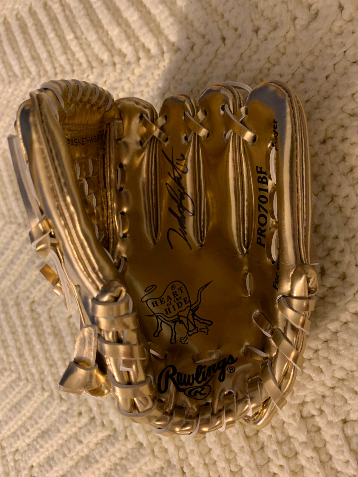 TUCKER BARNHART SIGNED MINI RAWLINGS GOLD GLOVE AUTOGRAPHED DETROIT TIGERS REDS COLLECTIBLE MEMORABILIA