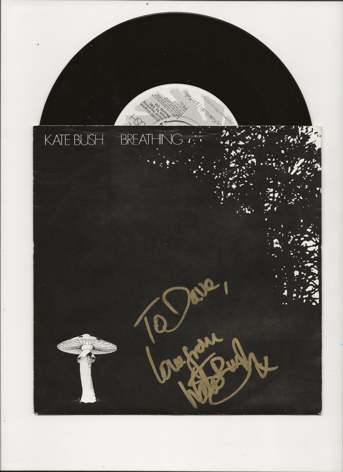 Kate Bush SIGNED Breathing 7