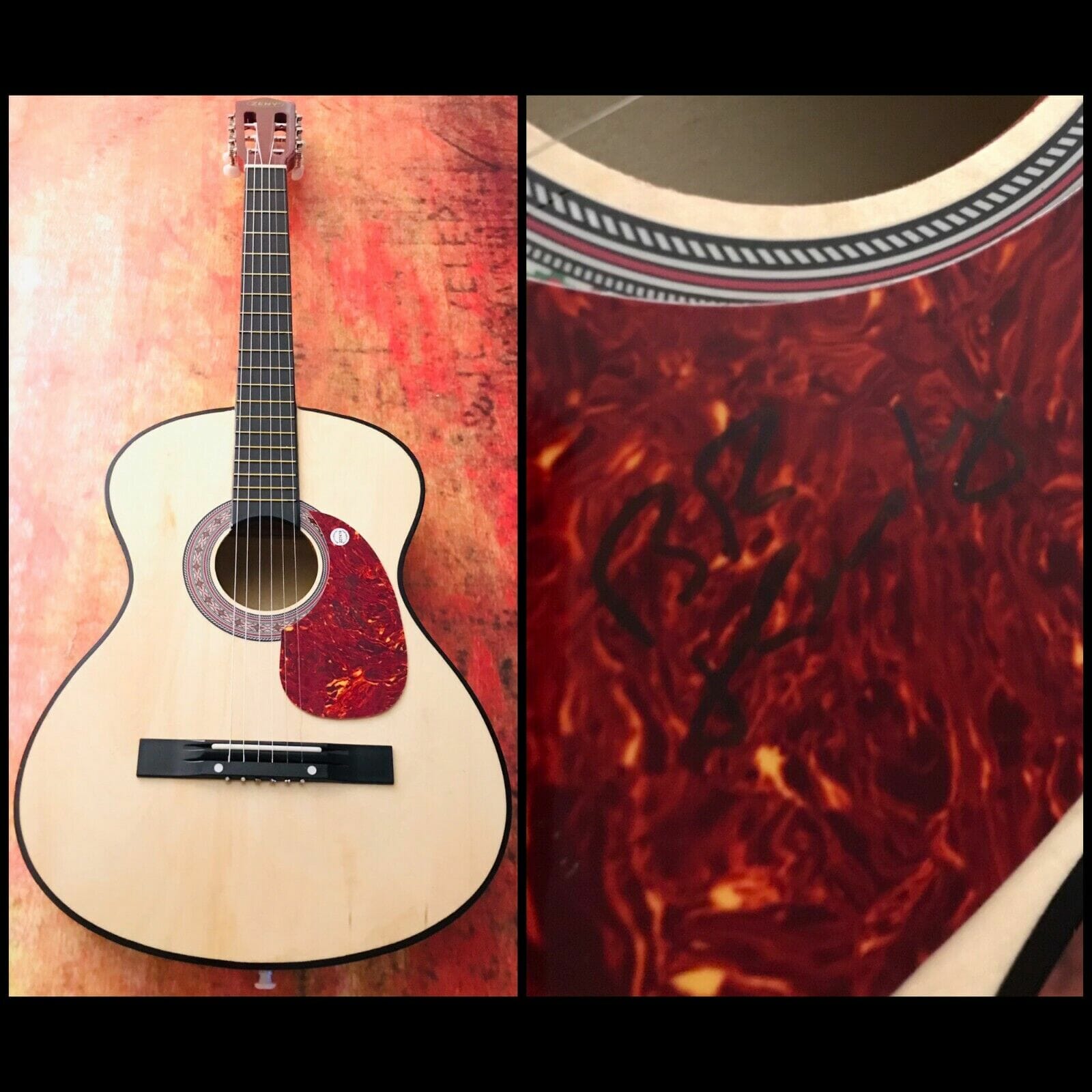 GFA Look Out Any Window * BRUCE HORNSBY * Signed Acoustic Guitar B4 COA