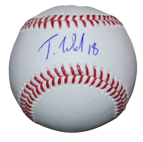 THAD WARD SIGNED (WASHINGTON NATIONALS) PROSPECT OML BASEBALL JSA COA AH95642 COLLECTIBLE MEMORABILIA
