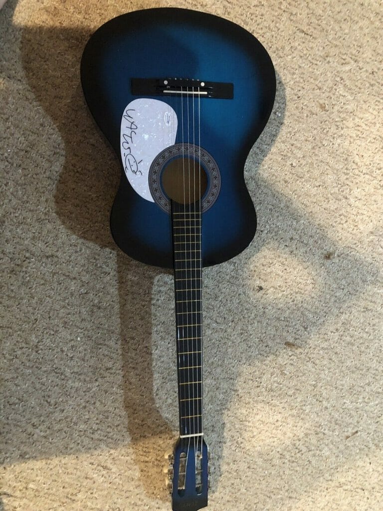 WAYNE COYNE FLAMING LIPS SIGNED AUTOGRAPH 38” ACOUSTIC GUITAR ACOA ROCK COLLECTIBLE MEMORABILIA