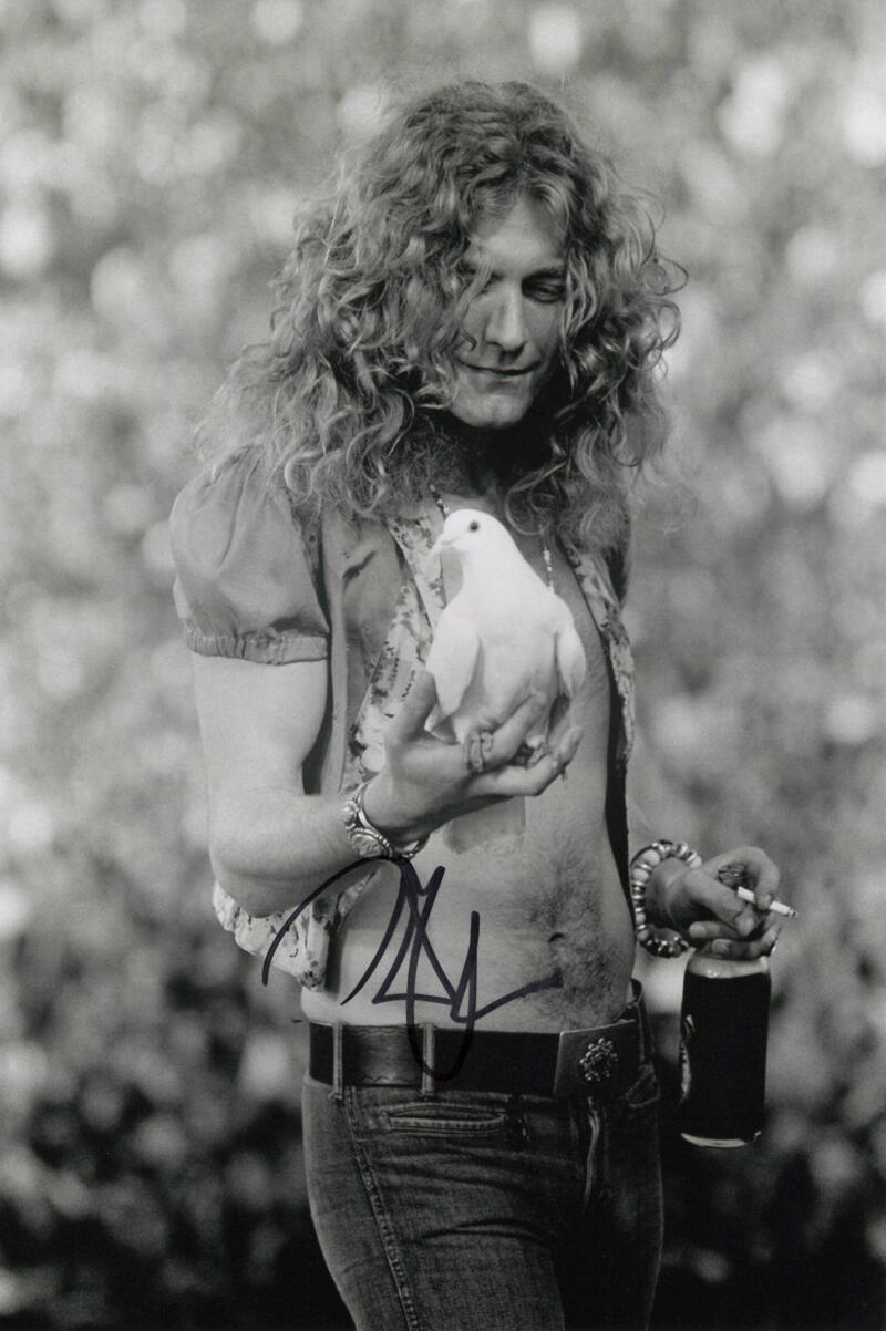 Robert Plant Led Zeppelin Signed Autograph 8x12 Photo - Young Rock Icon JSA COA
