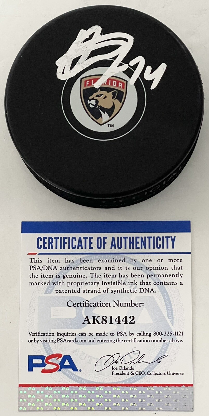 Owen Tippett Signed Autographed Florida Panthers Logo Puck PSA/DNA
