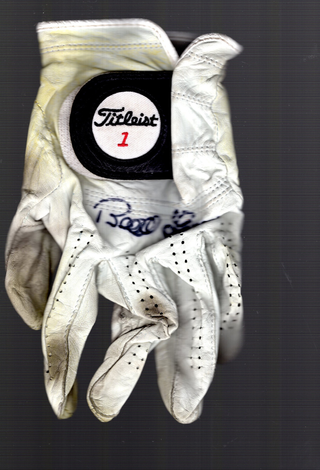 BERNHARD LANGER HAND SIGNED AND USED TITLEIST GOLF GLOVE+COA 2X MASTERS CHAMP
