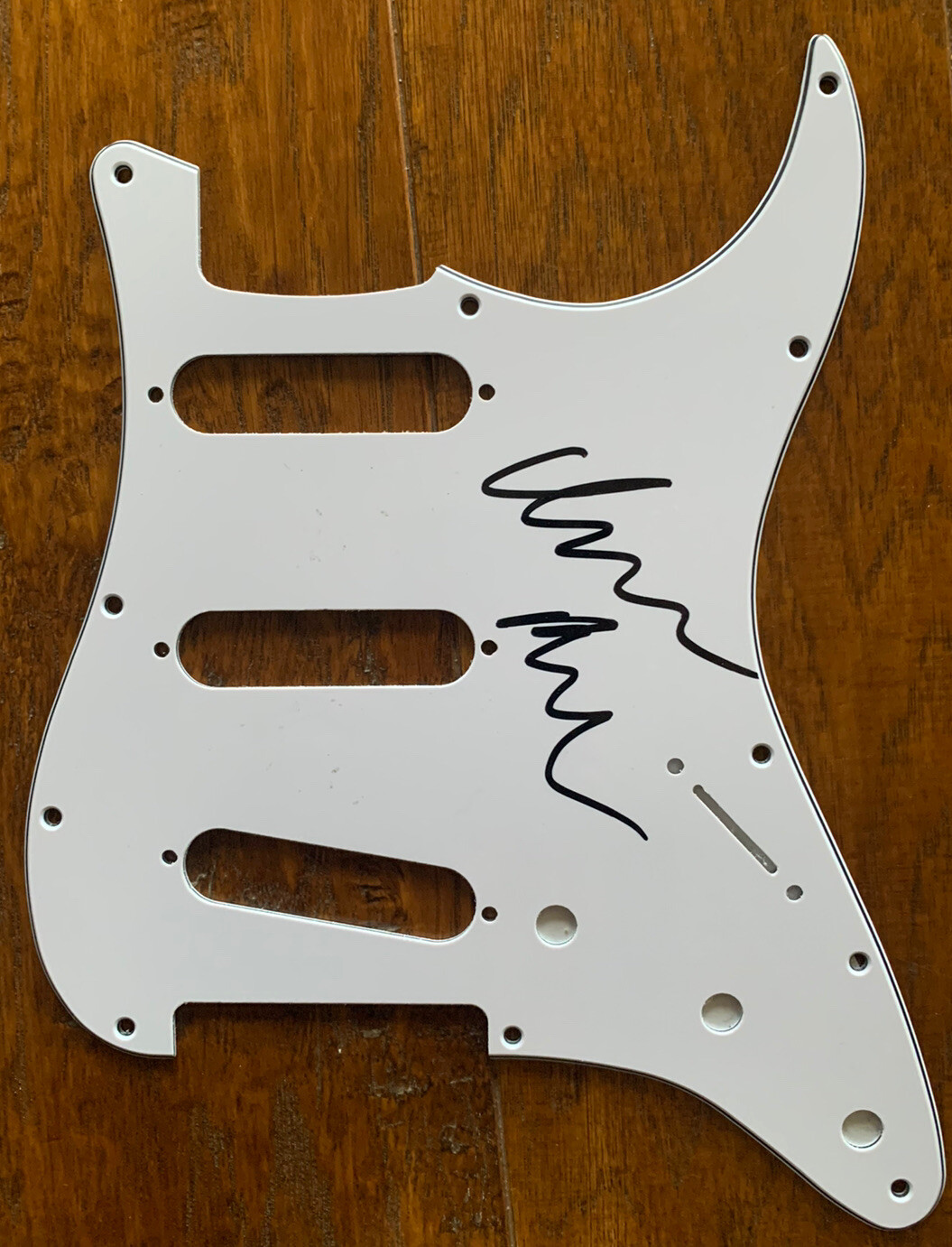 ISAAC BROCK MODEST MOUSE SIGNED AUTOGRAPHED GUITAR PICKGUARD GUARANTEED COLLECTIBLE MEMORABILIA