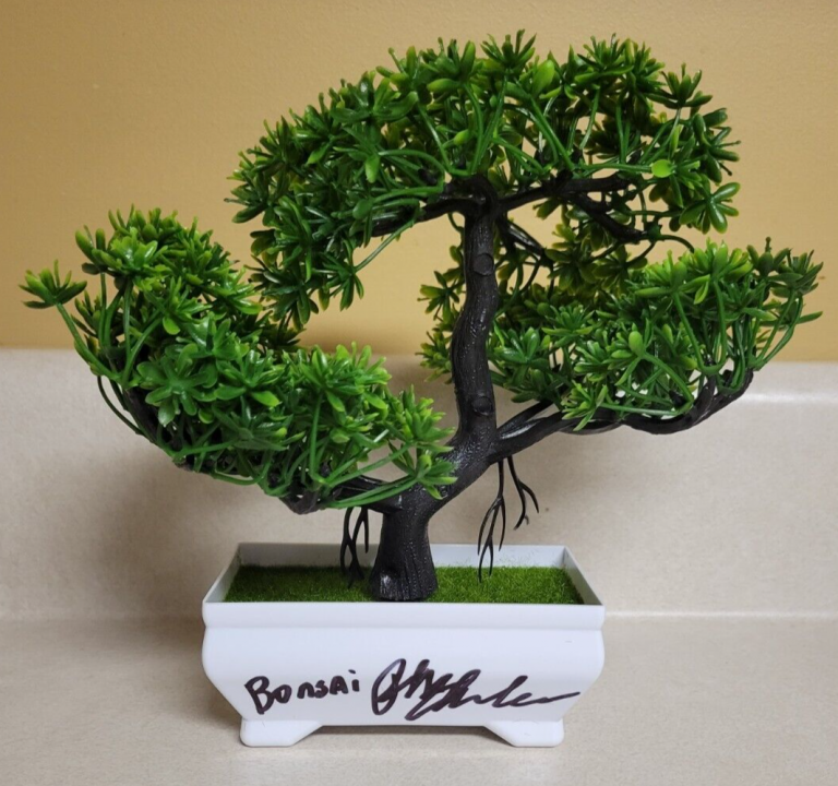 Karate Kid Ralph Macchio Autographed Bonsai Tree with COA orders