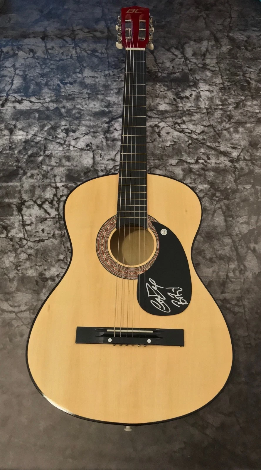 GFA Brad & Curtis Rempel * HIGH VALLEY * Signed Acoustic Guitar AD2 COA
