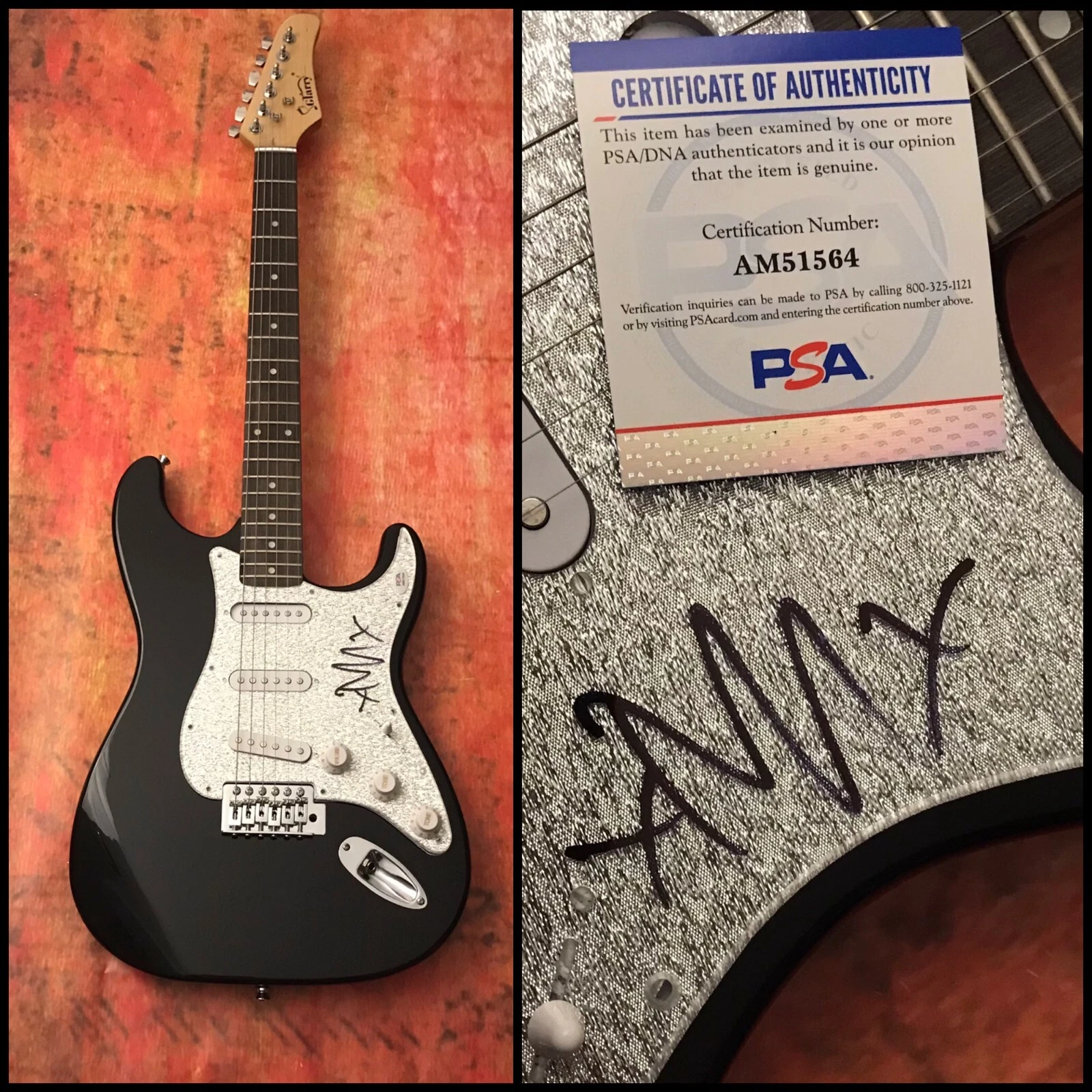 PSA Rise Against Band * TIM McILRATH * Signed Electric Guitar PROOF COA
