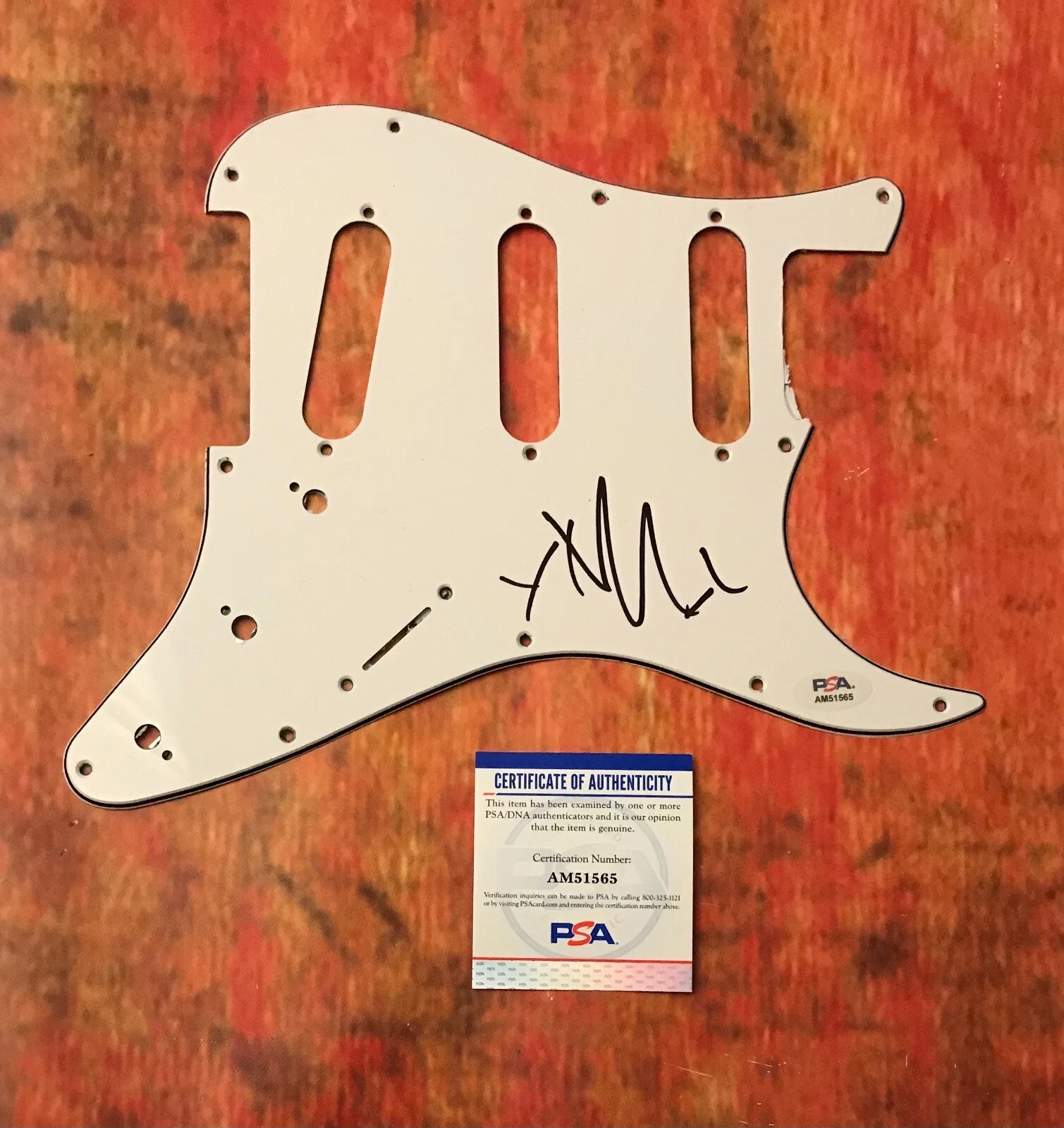 PSA Rise Against Band * TIM McILRATH * Signed Electric Pickguard PROOF COA
