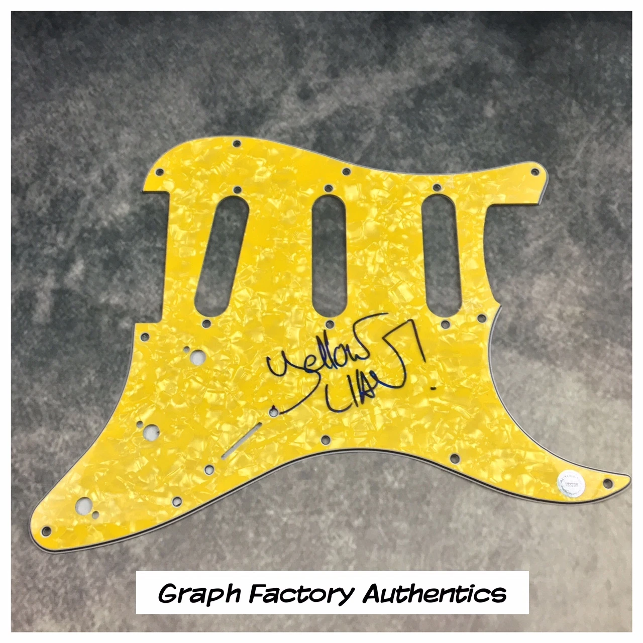GFA BIZZEY ELECTRO DJ DUBSTEP * YELLOW CLAW * SIGNED ELECTRIC PICKGUARD COA COLLECTIBLE MEMORABILIA