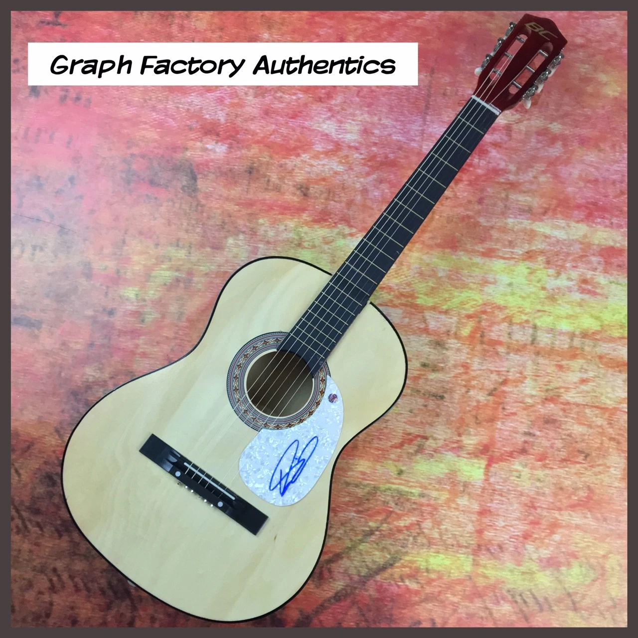 GFA Country Superstar * DAVID NAIL * Signed Acoustic Guitar D5 COA
