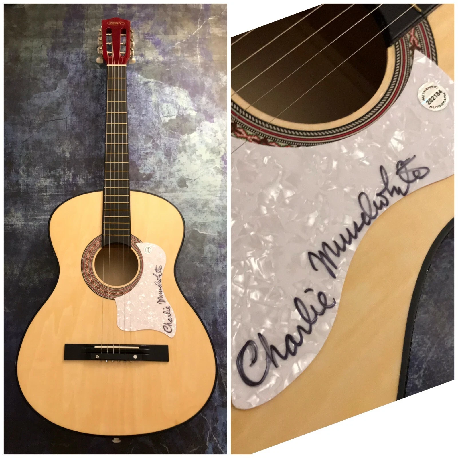 GFA No Mercy in this Land * CHARLIE MUSSELWHITE * Signed Acoustic Guitar C2 COA
