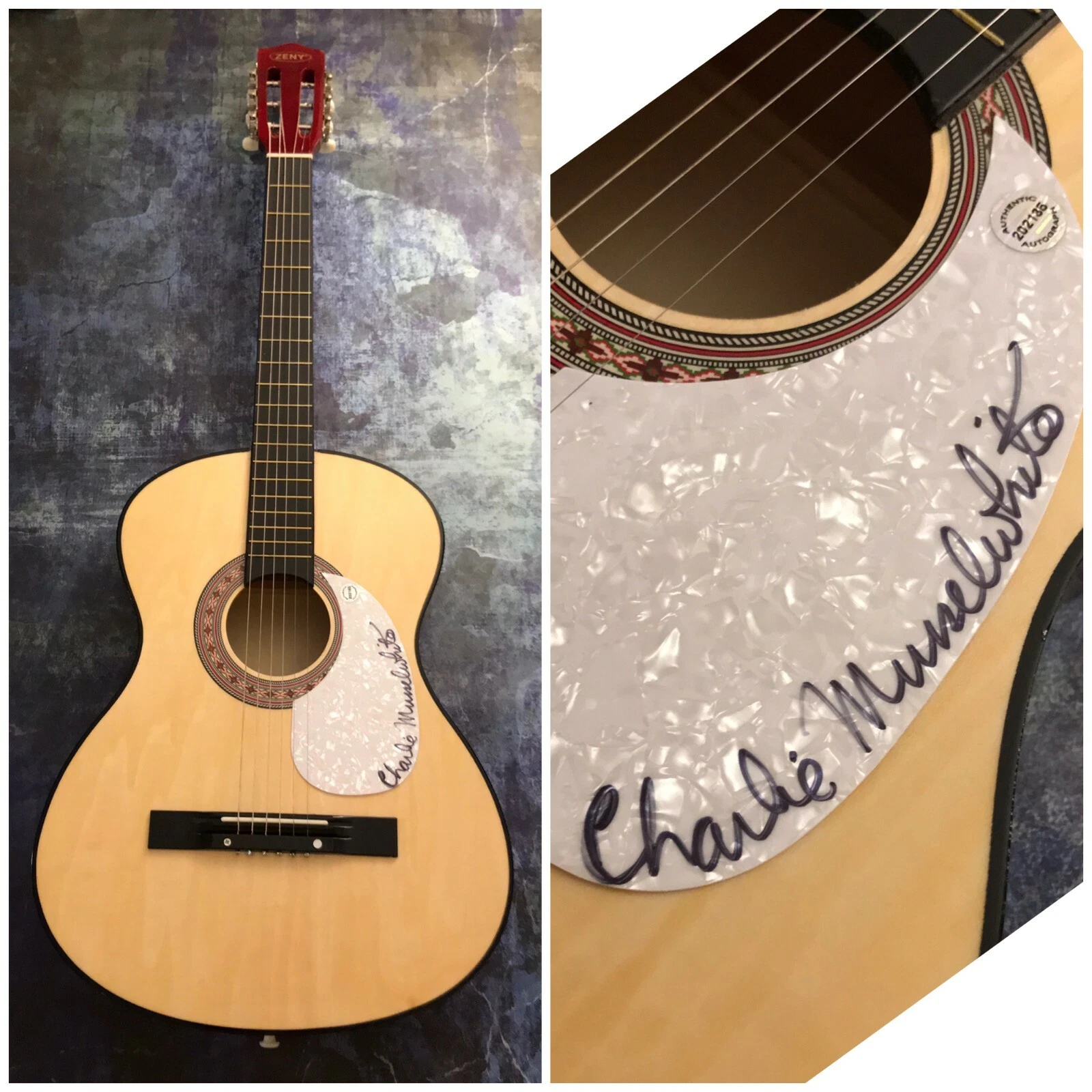 GFA No Mercy in this Land * CHARLIE MUSSELWHITE * Signed Acoustic Guitar C4 COA
