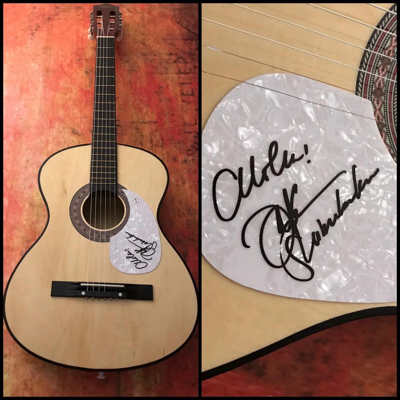 GFA The Greatest Day * JAKE SHIMABUKURO * Signed Acoustic Guitar COA
