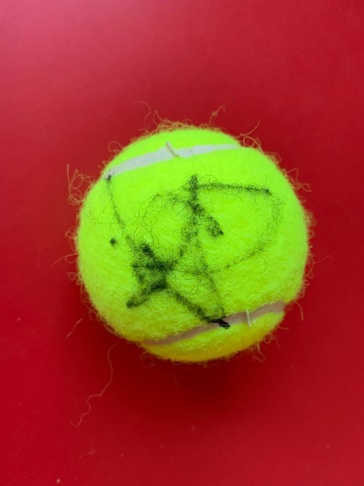 Ons Jabeur Tunisia Penn Tennis Ball Signed Auto
