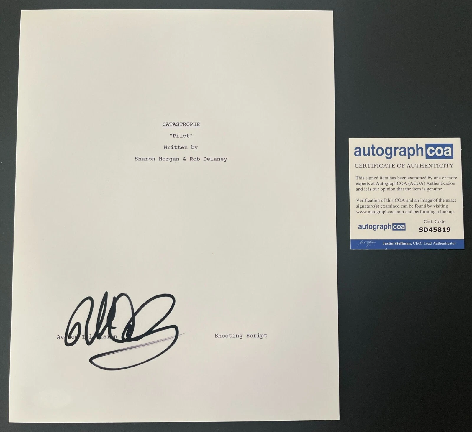 ROB DELANEY SIGNED AUTOGRAPH CATASTROPHE FULL 33 PAGE PILOT SCRIPT w/EXACT PROOF
