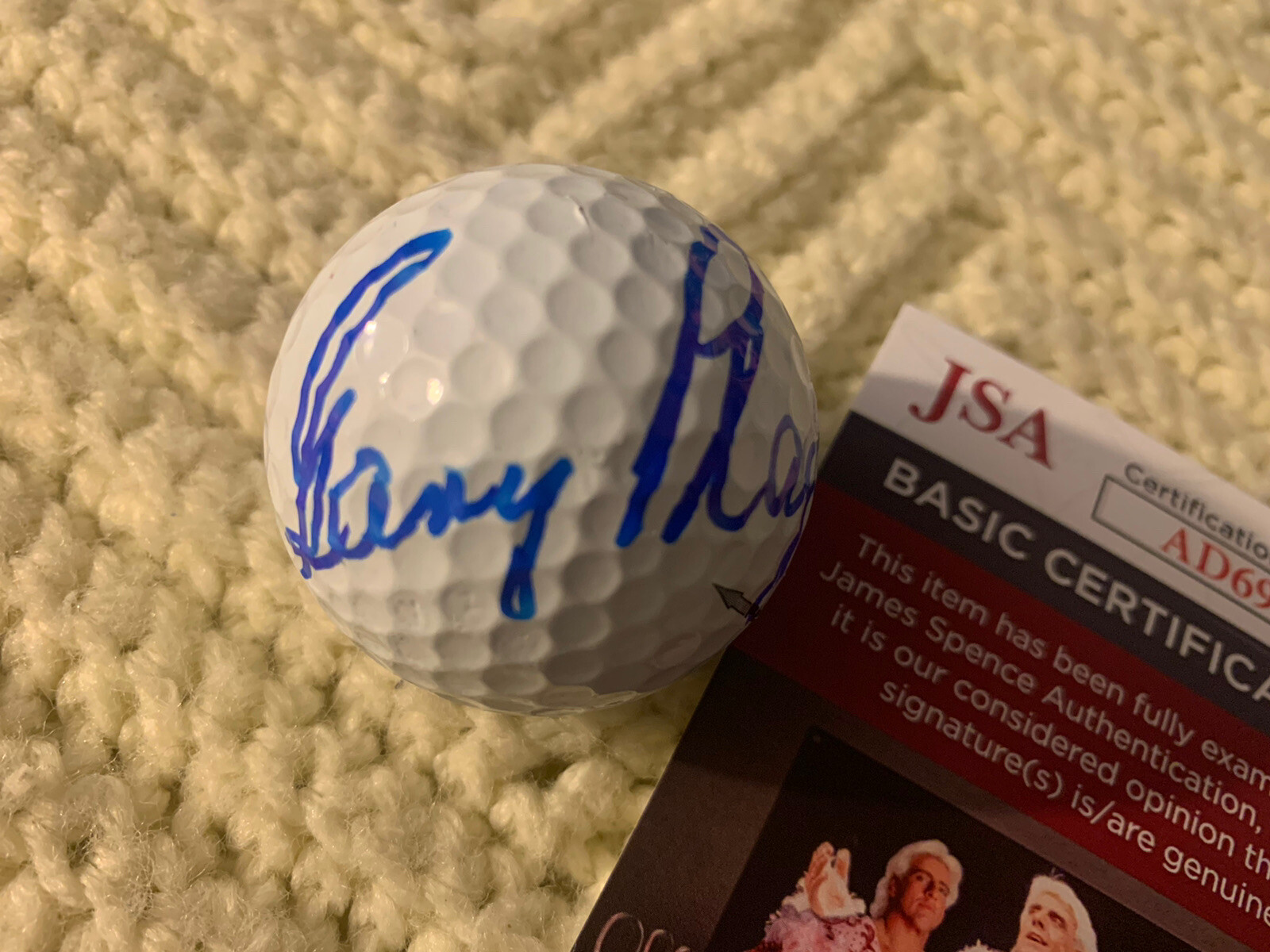 Gary Player Signed World Golf Hall Of Fame Ball Pga Tour JSA Authentication COA
