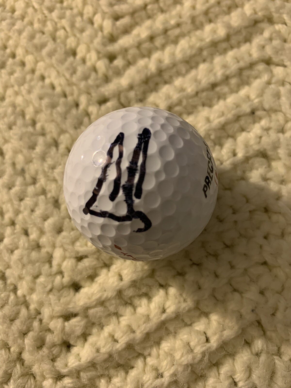 Ernie Els Signed World Golf Hall Of Fame Ball Pga Tour Autographed Smudged
