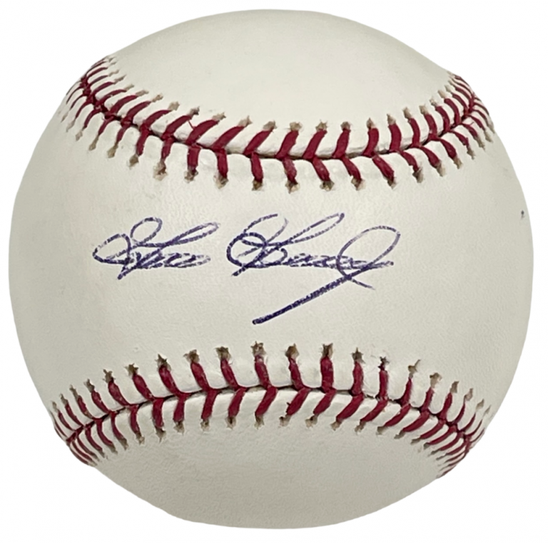 GOOSE GOSSAGE SIGNED OFFICIAL MAJOR LEAGUE BASEBALL NEW YORK YANKEES
 COLLECTIBLE MEMORABILIA