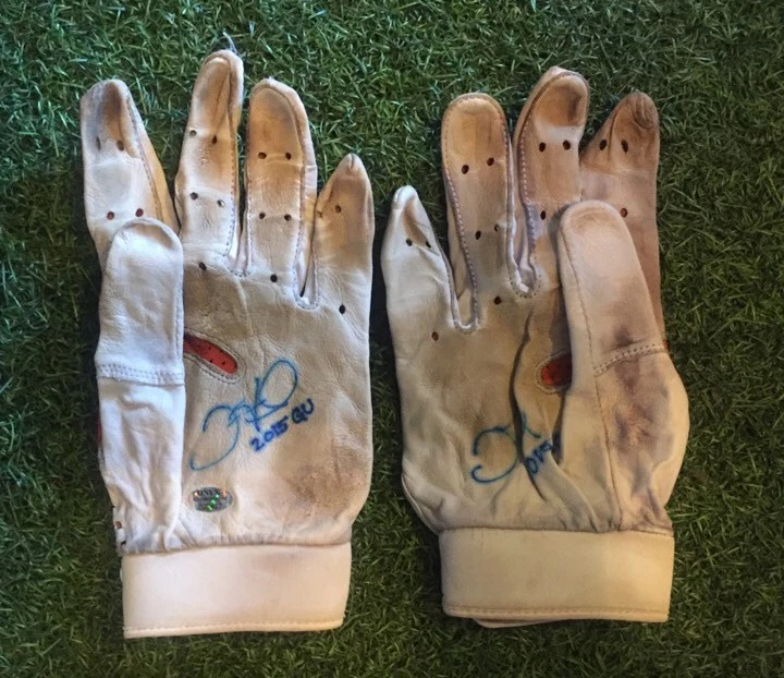 DEREK FISHER 2015 Onyx Game Used Signed Batting Gloves ASTROS Auto
