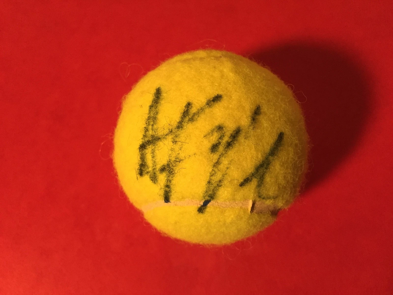 Ana Konjuh Wilson Tennis Ball Signed Auto
