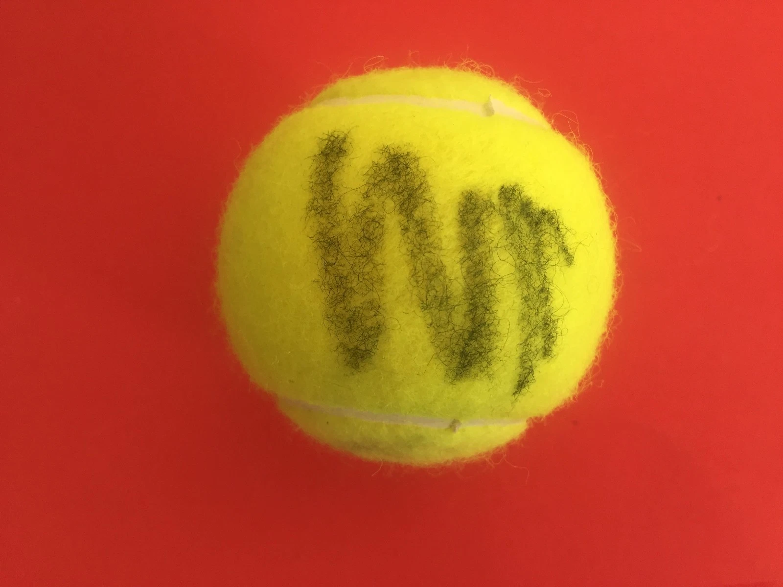 Garbine Muguruza U.S. Open Wilson Tennis Ball Signed Auto
