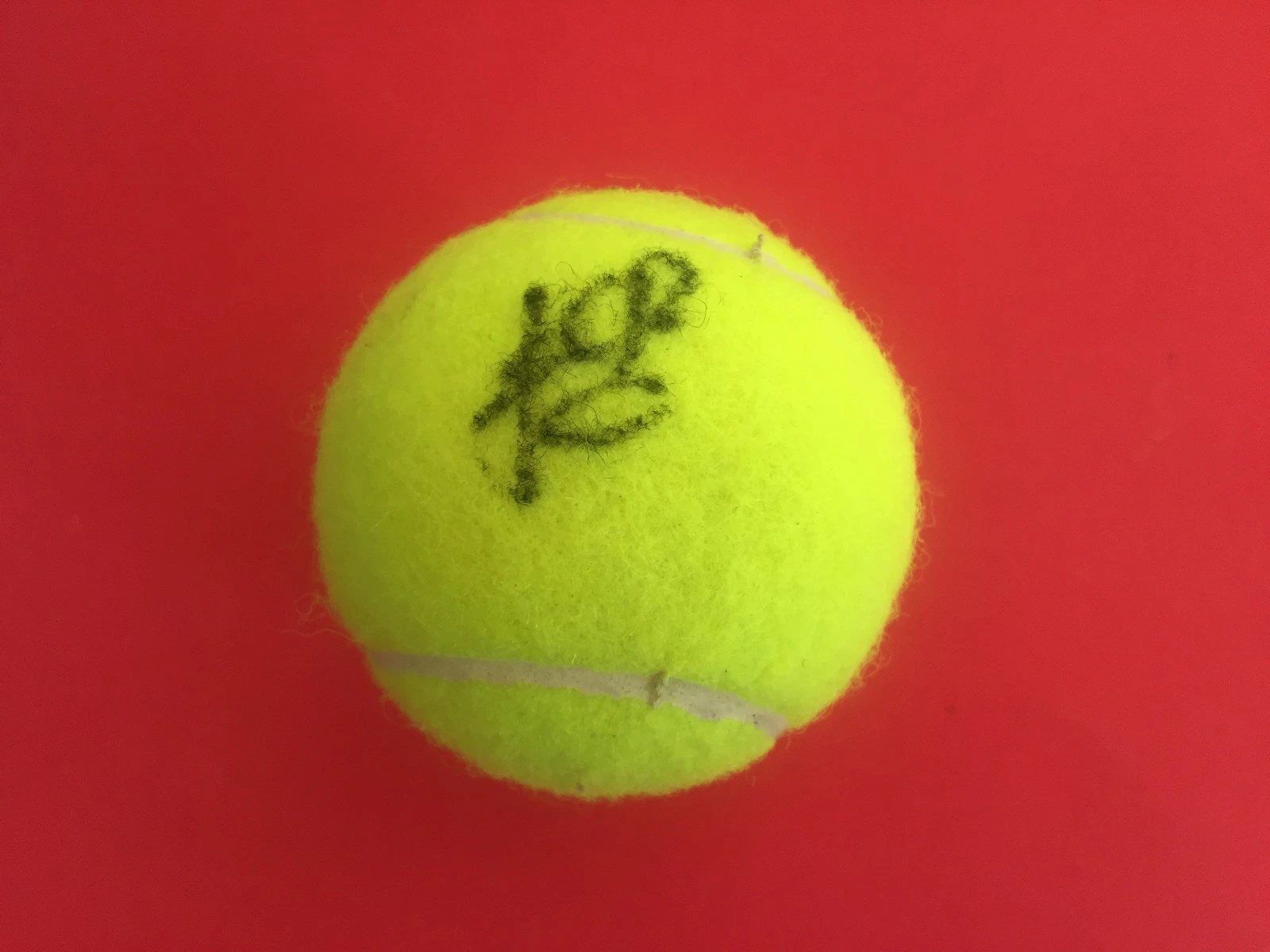 VERONICA CEPEDE ROYG TENNIS DUNLOP TENNIS BALL SIGNED AUTO COLLECTIBLE MEMORABILIA