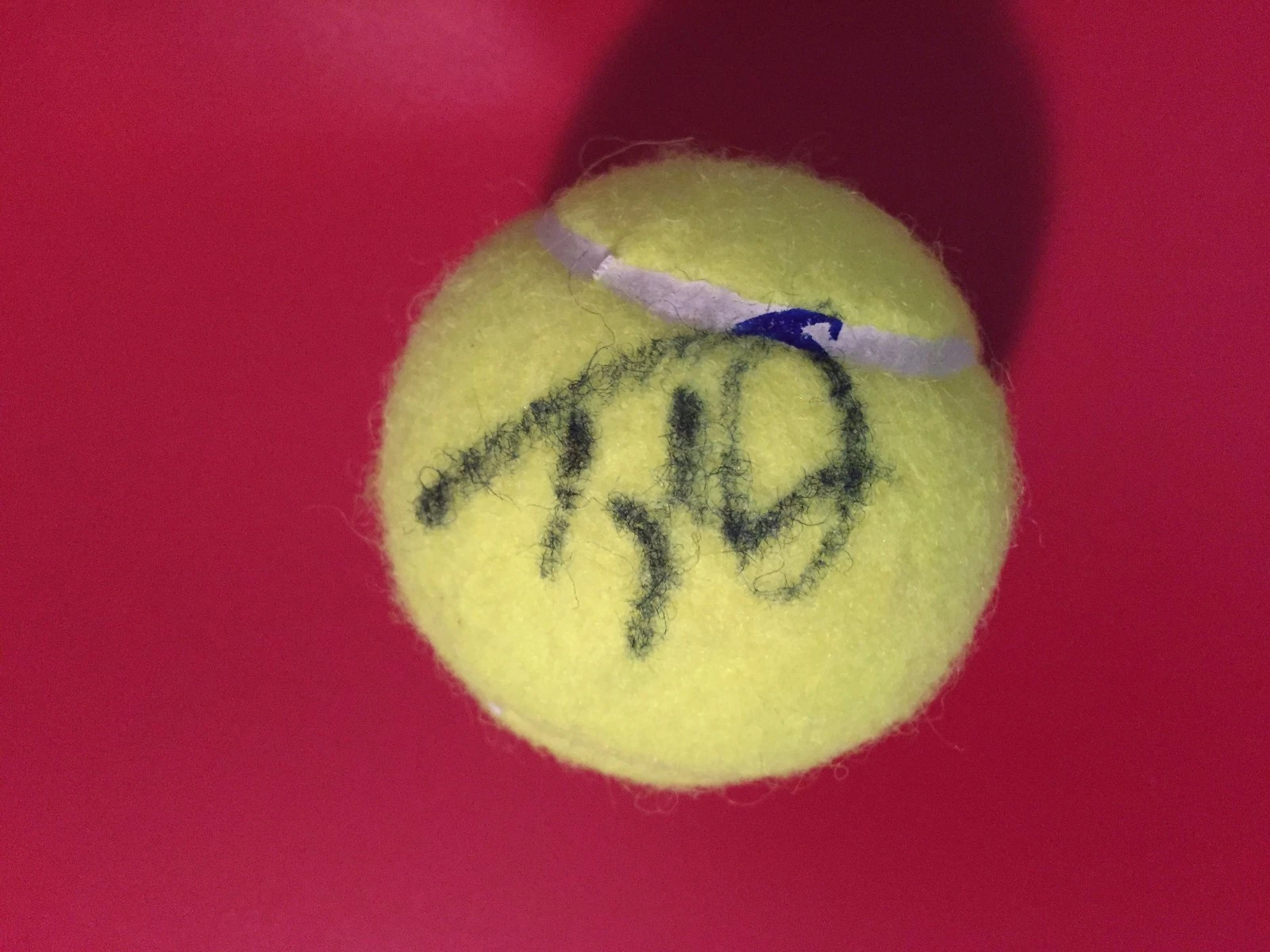 Taylor Dent Wilson Tennis Ball Signed Auto
