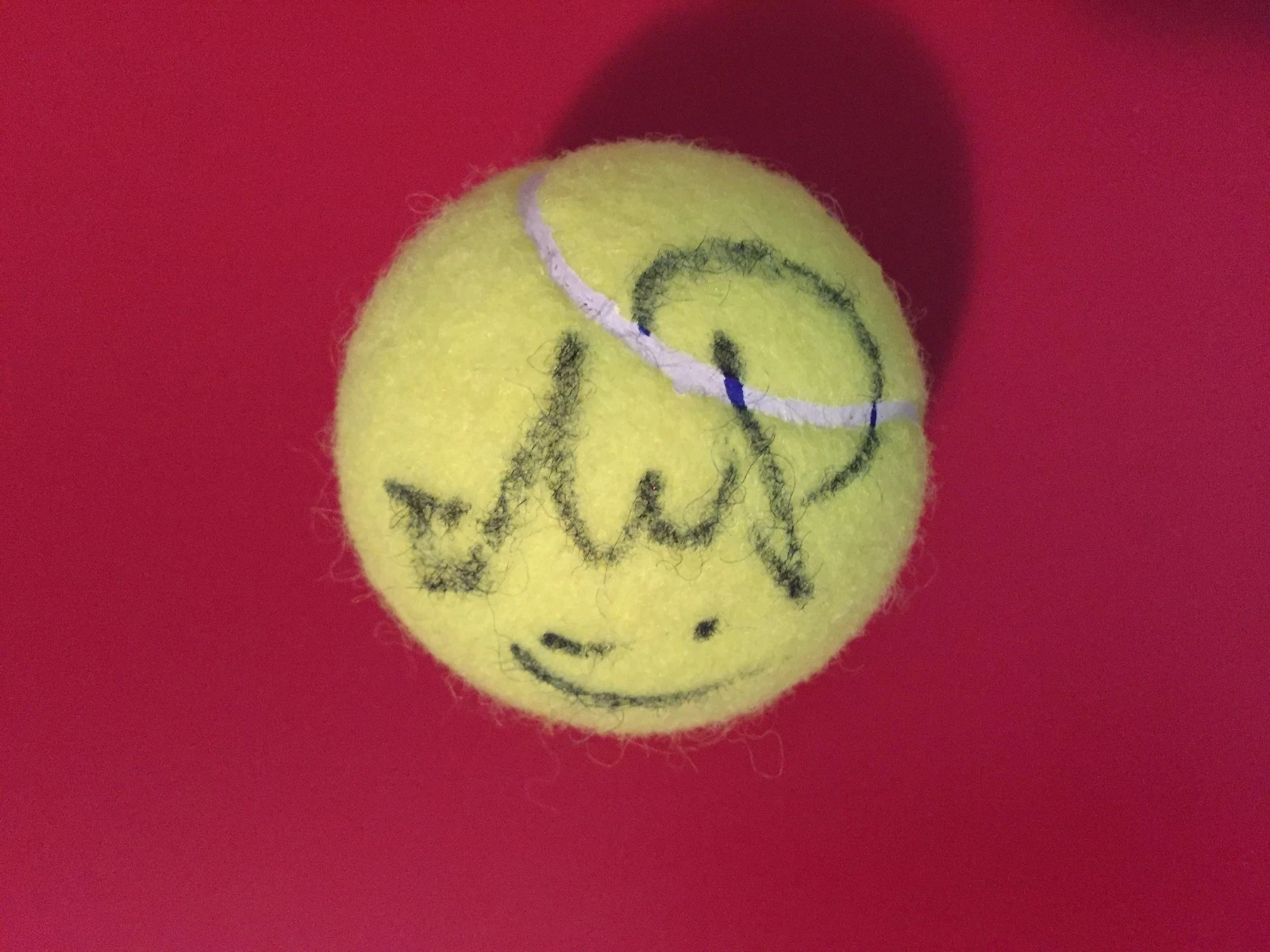 ANASTASIA PAVLYUCHENKOVA WILSON TENNIS BALL SIGNED AUTO COLLECTIBLE MEMORABILIA