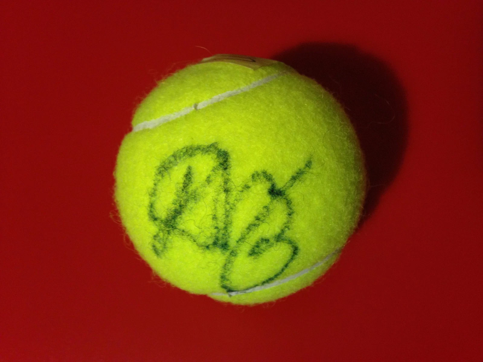 VITALIA DIATCHENKO WILSON TENNIS BALL SIGNED AUTO COLLECTIBLE MEMORABILIA