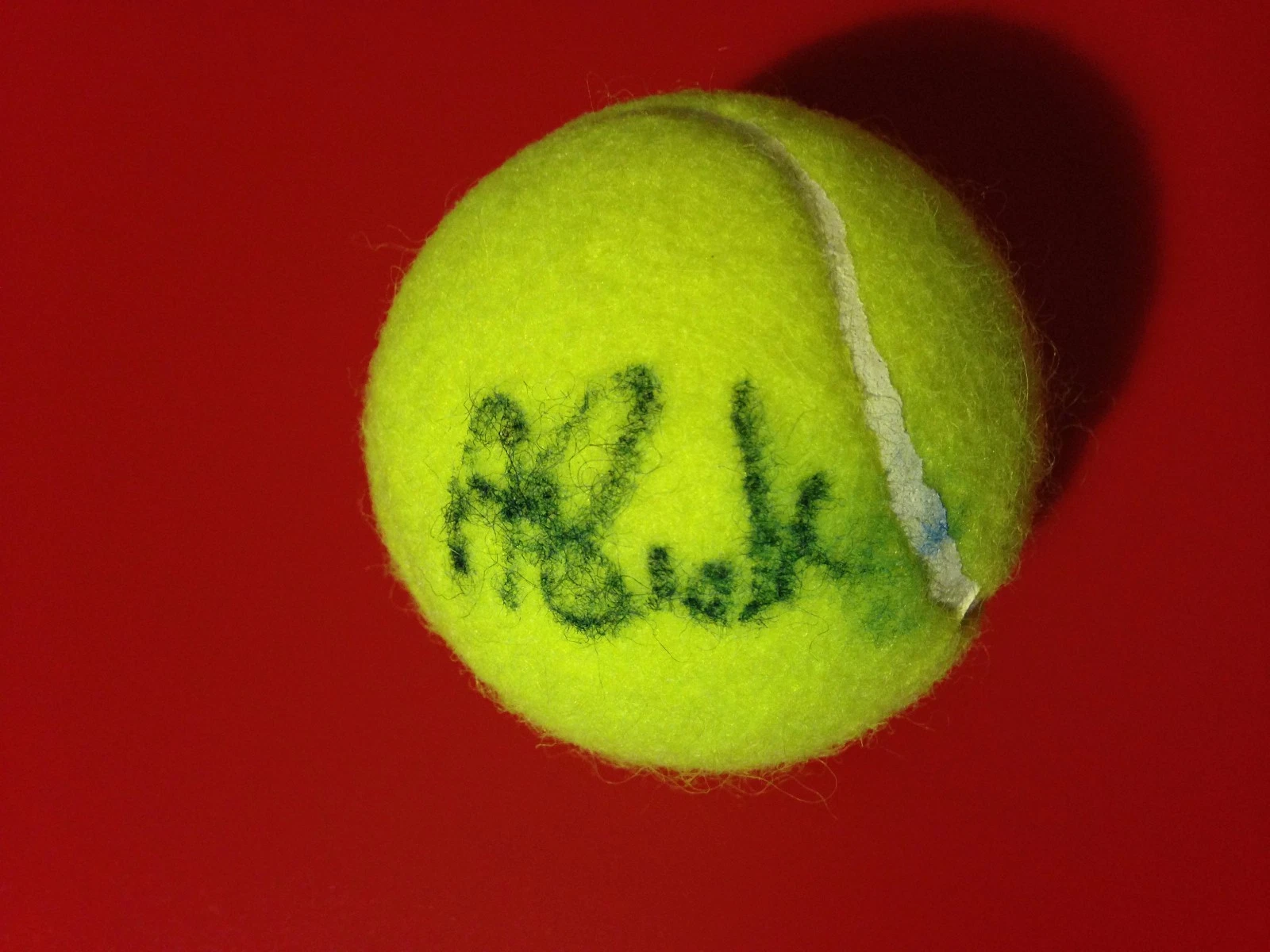 ALICJA ROSOLSKA WILSON TENNIS BALL SIGNED AUTO COLLECTIBLE MEMORABILIA