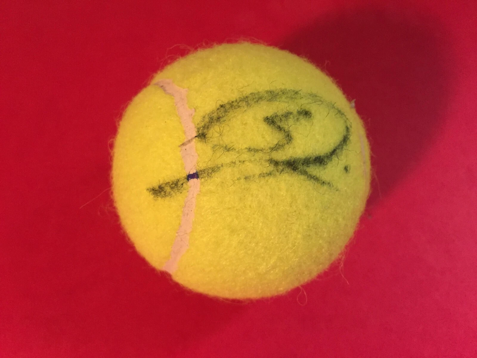 Francesca Schiavone French Open Champions Tennis Dunlop Tennis Ball Signed Auto
