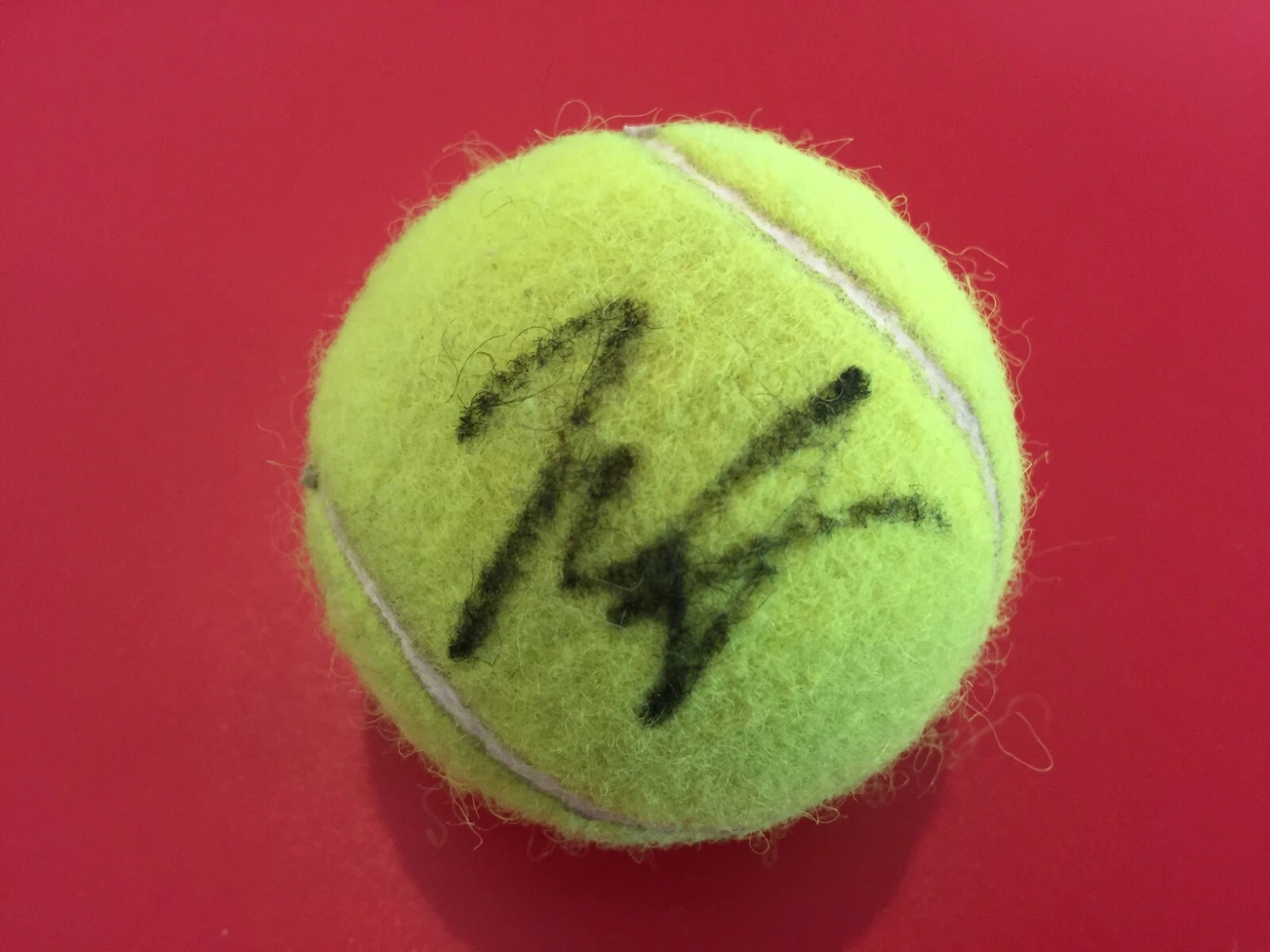 John Isner USA Tennis Penn Coach Ball Signed Auto
