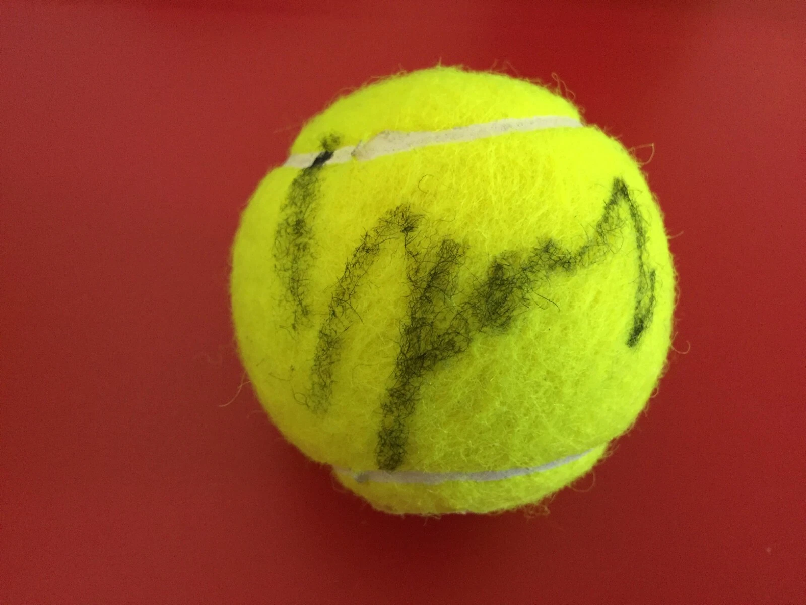 Garbine Muguruza Wimbledon Champions Slazenger Tennis Ball Signed Auto
