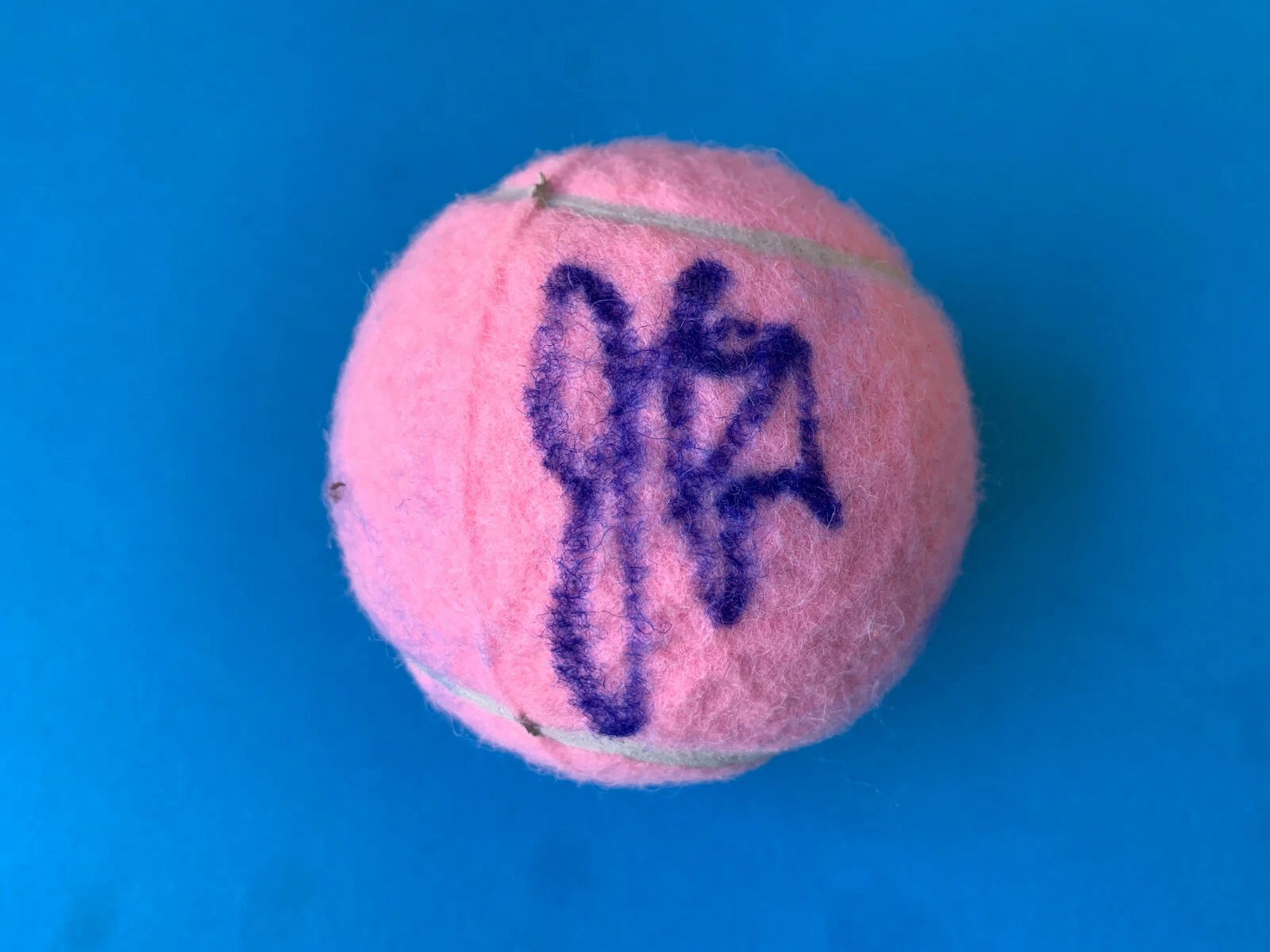Julia Goerges Pink Wilson Hope Cancer Research Tennis Ball Signed Auto
