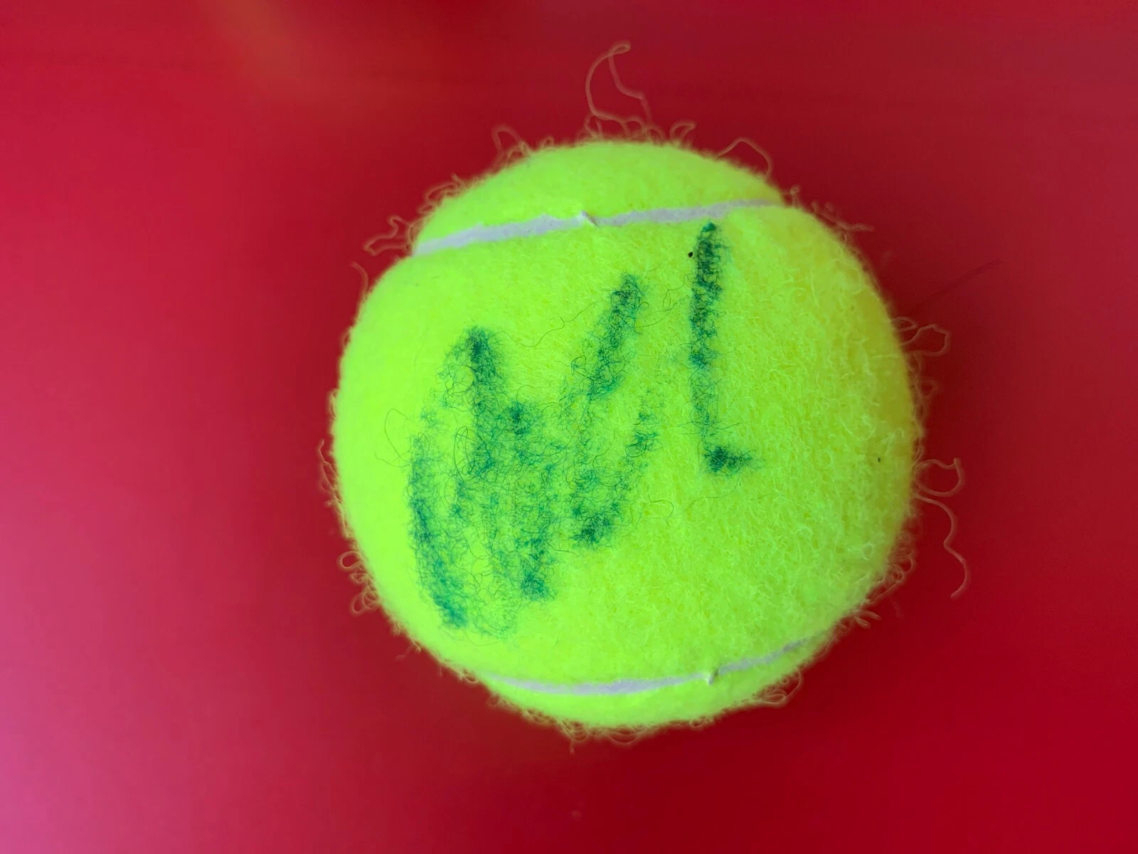 AGNIESZKA RADWANSKA WILSON TENNIS BALL SIGNED AUTO COLLECTIBLE MEMORABILIA